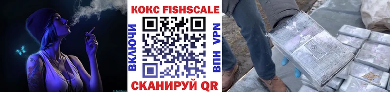 Купить закладки  Балашов  COCAIN Эквадор 