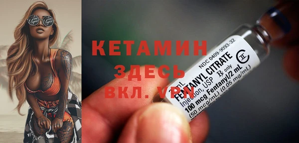 мдпв Краснослободск