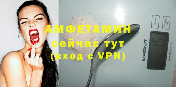 мдпв Краснослободск