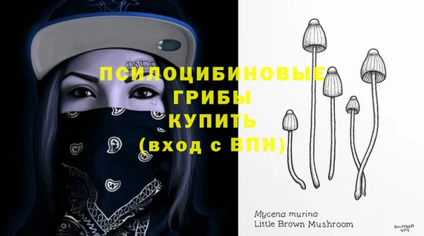 мдма Ладушкин