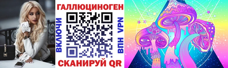 Купить  Балашов  Псилоцибиновые грибы Psilocybe 